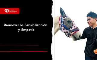 Promover la Sensibilización y Empatía